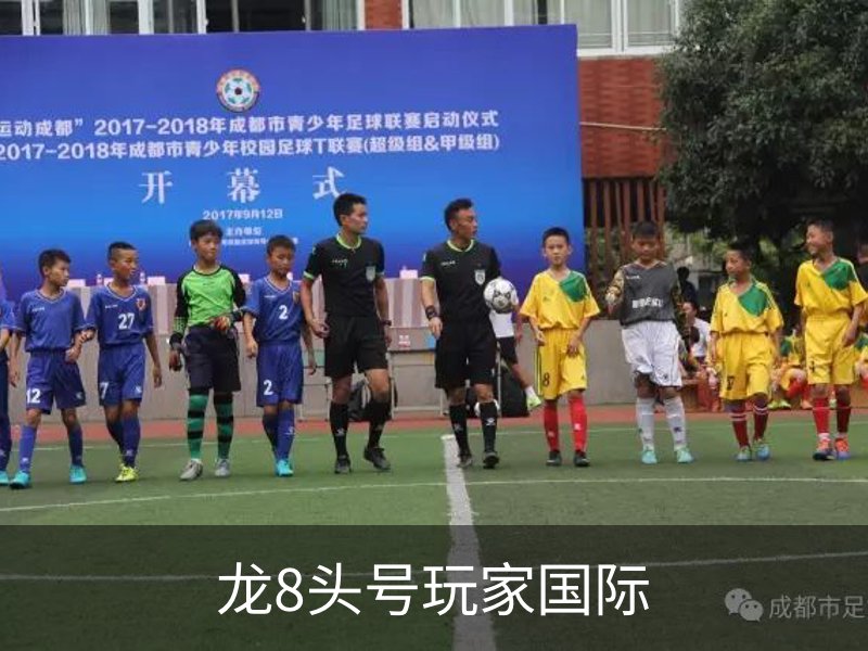 关于龙8头号玩家国际